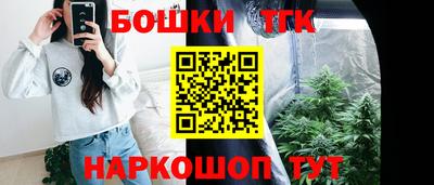 соль ск Можга